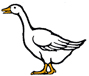 goose picture